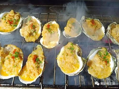 爆料扇贝测评视频大全集,视频大全集深度解析